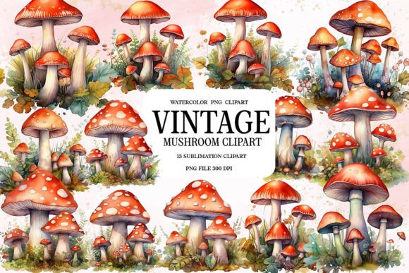 Download Vintage Cottagecore Mushroom Clipart - Mushroom Collection