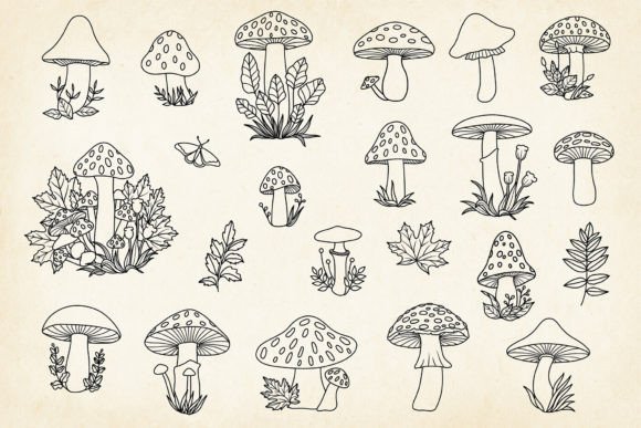 Download Hand-drawn Mushrooms Minimalist Art Set - Mushroom Collection